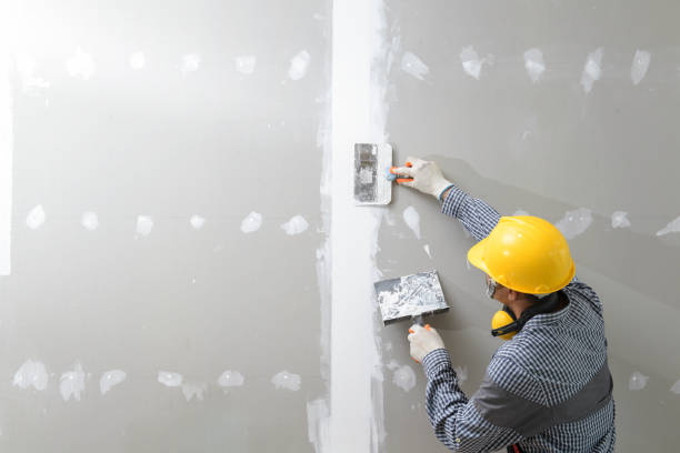 Trusted New Sarpy, LA Mold Removal Experts